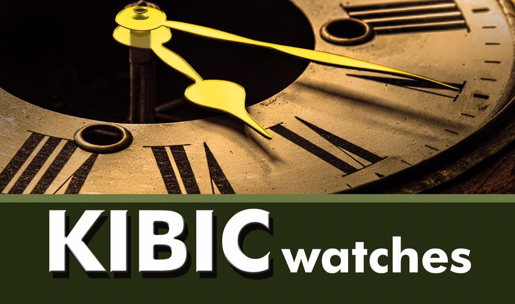 Kibic Watches